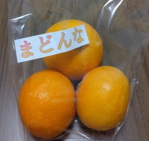 川上青果のまどんな