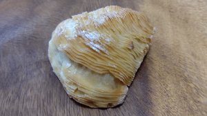 スフォリアテッラの生地②
