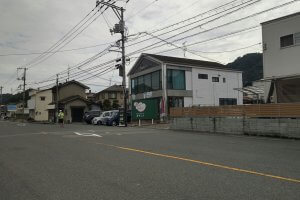 Tomboクリーニングとアンツ