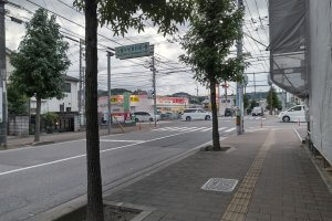 シャトレーゼから見たひまわり